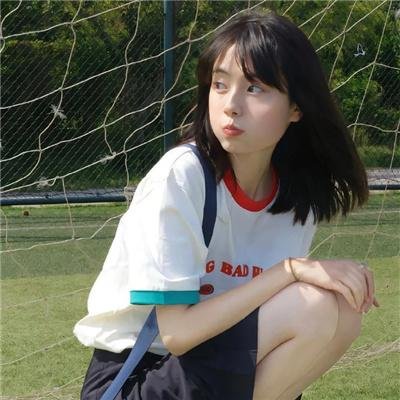 夏绿蒂的网